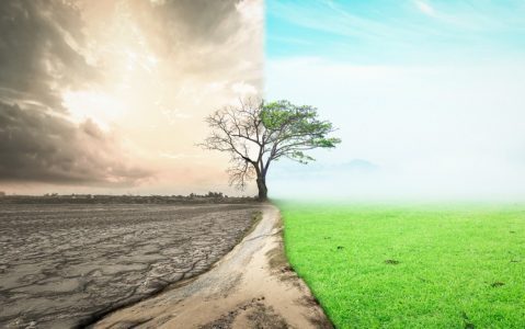 Six Reasons Why You May Need To Prepare For An Environmental Investigation Soon